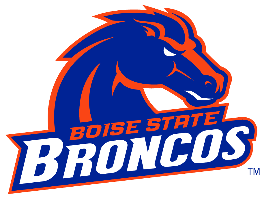 Boise State Broncos 2002-2012 Secondary Logo v13 diy iron on heat transfer